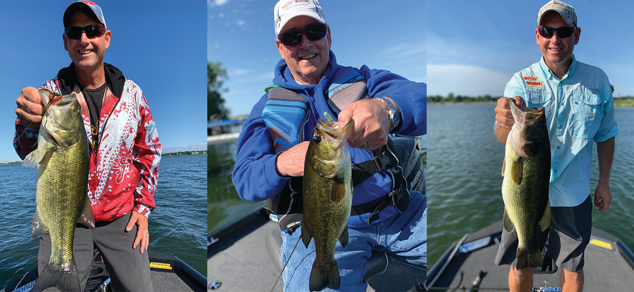 wisey worms fishing worms